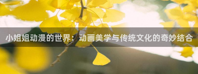 51动漫高清视频