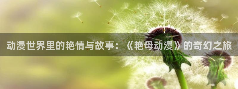 51动漫 破解