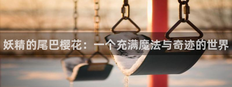 51动漫网：妖精的尾巴樱花：一个充满魔法与奇迹的世界